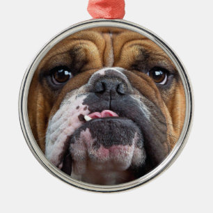 English Bulldog  Throw Pillow Metal Ornament