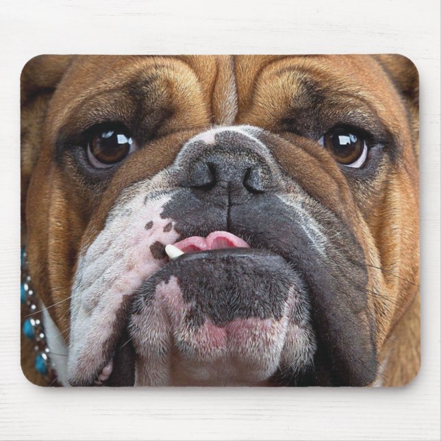 English Bulldog  Throw Pillow Mouse Pad (Front)