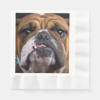 English Bulldog  Throw Pillow