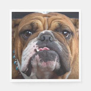 English Bulldog Throw Pillow Napkin