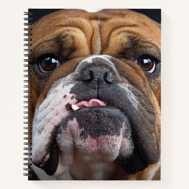 English Bulldog  Throw Pillow Notebook (Front)