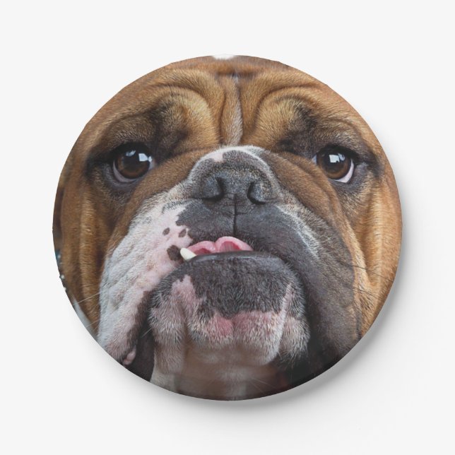 English Bulldog  Throw Pillow Paper Plate (Front)
