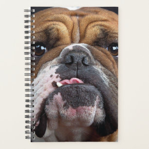 English Bulldog  Throw Pillow Planner