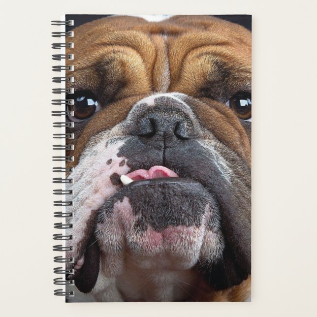 English Bulldog  Throw Pillow Planner (Front)