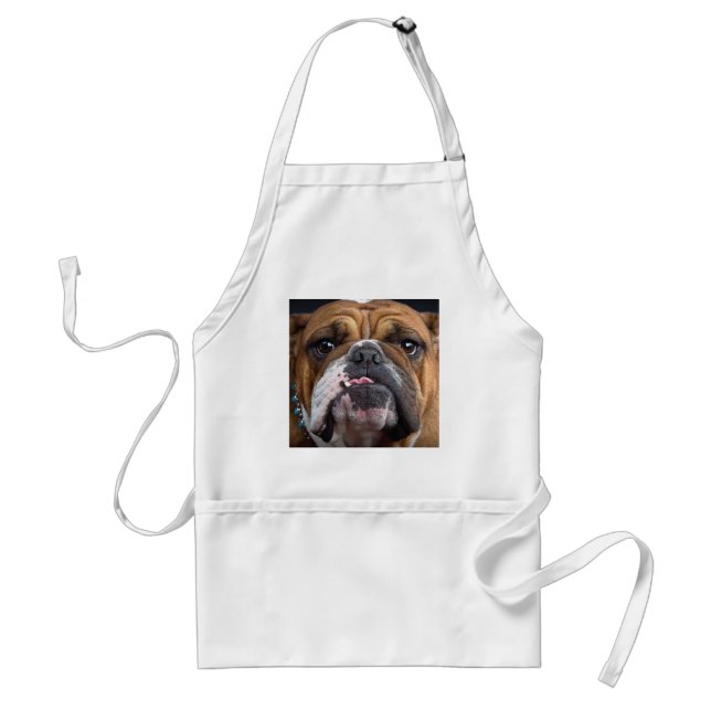 English Bulldog  Throw Pillow Standard Apron (Front)