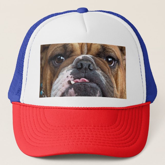 English Bulldog  Throw Pillow Trucker Hat (Front)