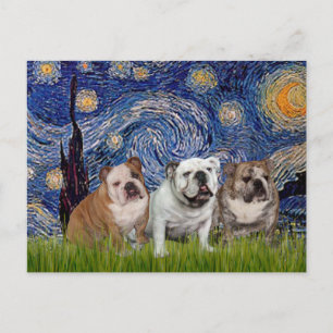 English Bulldog Trio - Starry Night Postcard