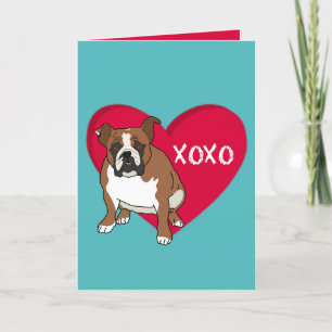 English Bulldog Valentines Day Thank You Card