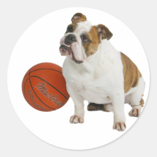 English Bulldog with Basketball Classic Round Sticker