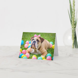 English Bulldog with Bow with Easter Eggs Holiday Card