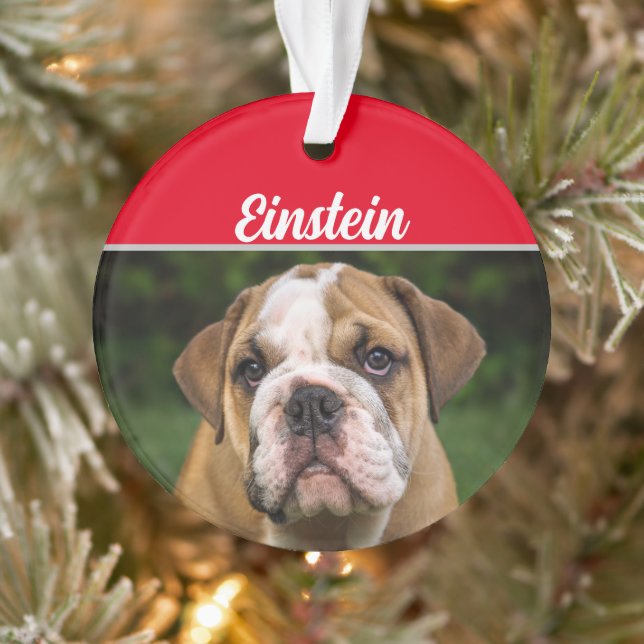 English Bulldog with Name and Photo Christmas Ornament (Tree)