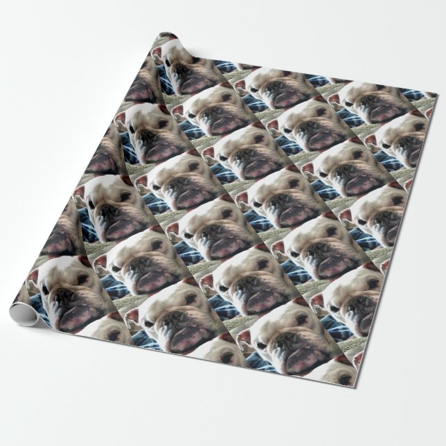English Bulldog Wrapping Paper (Unrolled)