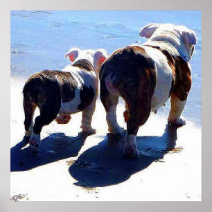 English Bulldogs Alone At Last Poster