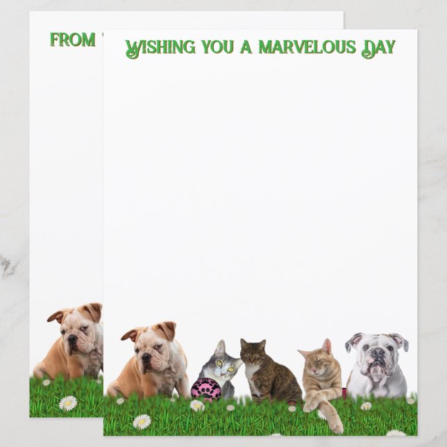 English Bulldogs and Cats Stationery (Front/Back)