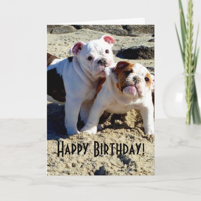 English Bulldogs Puppy Love Birthday Card (Front)