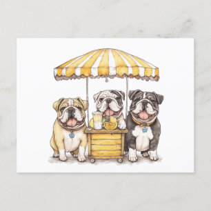 English Bulldogs Running A Lemonade Stand Postcard