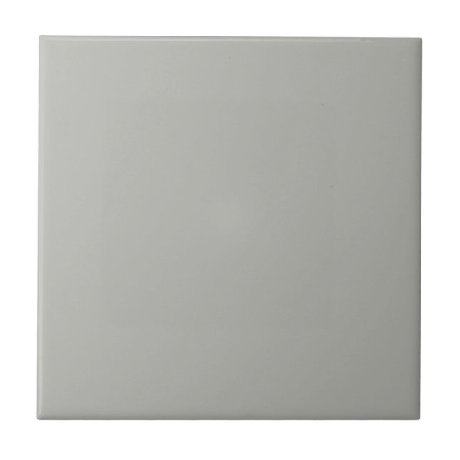 English Chelsea Grey Square Kitchen and Bathroom Ceramic Tile (Front)