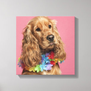English Cocker Spaniel (10 months old) Canvas Print