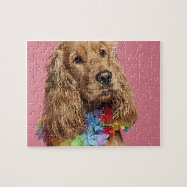 English Cocker Spaniel (10 months old) Jigsaw Puzzle (Horizontal)