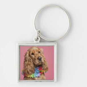 English Cocker Spaniel (10 months old) Key Ring