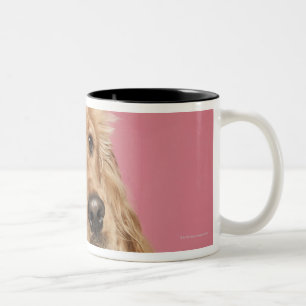 English Cocker Spaniel (10 months old) Two-Tone Coffee Mug