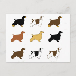 English Cocker Spaniel all colours silos Postcard