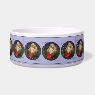 English Cocker Spaniel Christmas