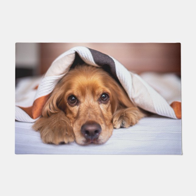 English Cocker Spaniel Dog Doormat (Front)