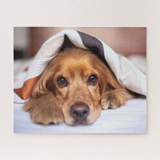 English Cocker Spaniel Dog Jigsaw Puzzle (Horizontal)