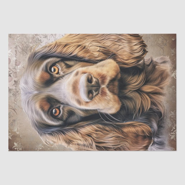 English Cocker Spaniel Dog Tissue Paper (Front)