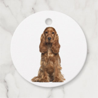 English Cocker Spaniel | Favour Tags