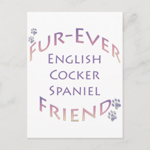 English Cocker Spaniel Furever; Cocker Love Postcard