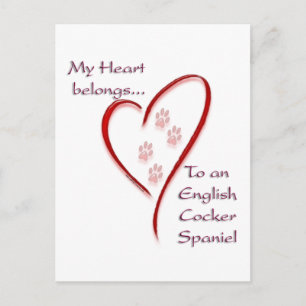 English Cocker Spaniel Heart Belongs Postcard