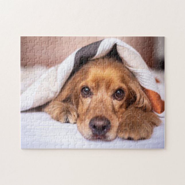 English Cocker Spaniel  Jigsaw Puzzle (Horizontal)