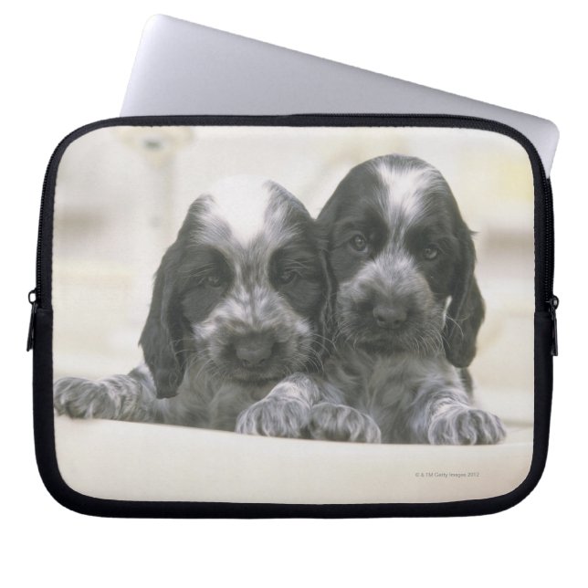 English Cocker Spaniel Laptop Sleeve (Front)