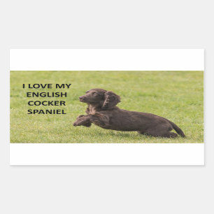 english cocker spaniel love with picture rectangular sticker