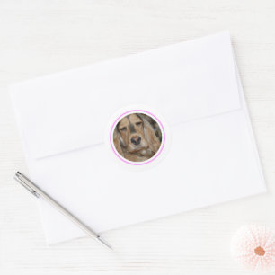 English Cocker Spaniel minimal modern Classic Round Sticker