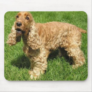 English Cocker Spaniel Mousepad