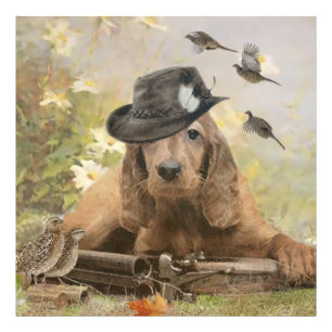 English Cocker Spaniel    Photo Print