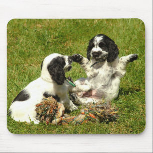 English Cocker Spaniel Puppies Mousepad