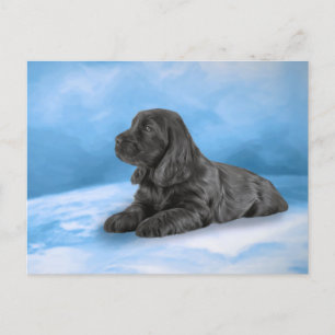 English Cocker Spaniel puppy Invitation Postcard