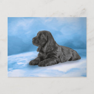 English Cocker Spaniel puppy Postcard