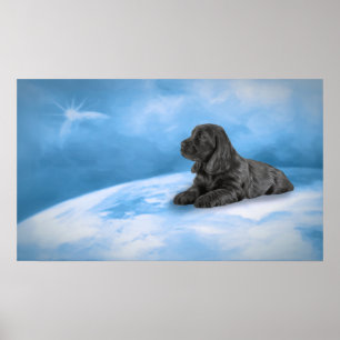 English Cocker Spaniel puppy Poster