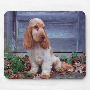 English Cocker Spaniels Mouse Pad