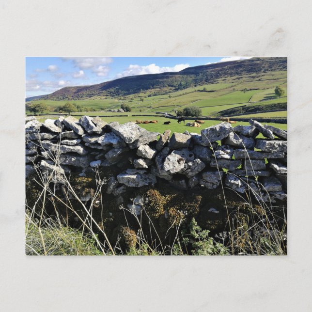 English Countryside Postcard (Front)