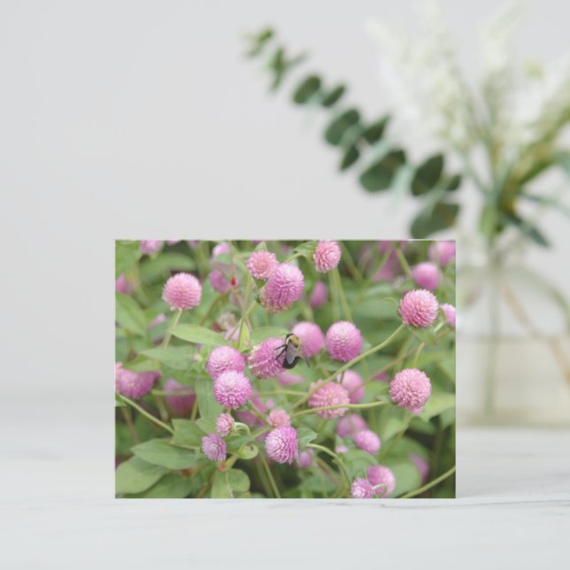 English Daisy Flower Postcard (Standing Front)