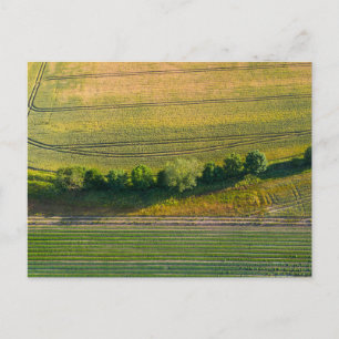 English Farm Pattern Matrix Holiday Postcard