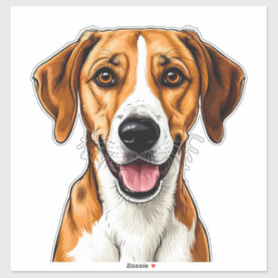 English Foxhound Dog Bright, Happy Expression
