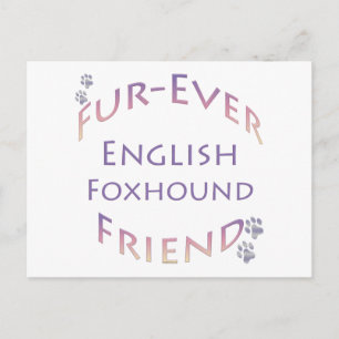 English Foxhound Furever Postcard