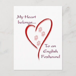 English Foxhound Heart Belongs Postcard